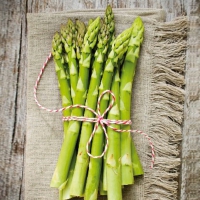 Servietten 33x33 cm - Green Asparagus Servietten 33x33 cm - Green Asparagus