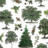 Servietten 33x33 cm - Alberi