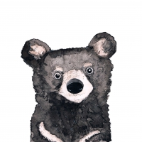 Servietten 33x33 cm - Bear