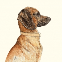 Servietten 33x33 cm - Oslo