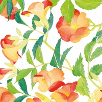 Servietten 33x33 cm - Bégonia 