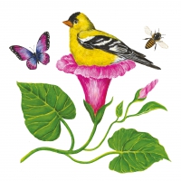 Servietten 33x33 cm - Morning Glory Nest 