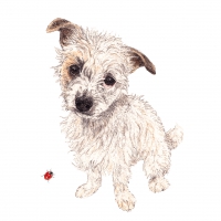 Servietten 33x33 cm - Omelette 