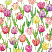 Servietten 33x33 cm - Tulip Flush 