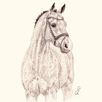 Servietten 33x33 cm - Catoki