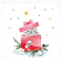 Servietten 33x33 cm - Surprise Napkin 33x33