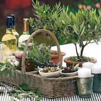 Servietten 33x33 cm - Tuscan Meal