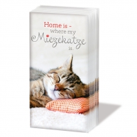 Taschentücher - Miezekatze *