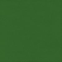 50 Tissue Servietten 33x33 cm - Tissue Verde 50 Tissue Servietten 33x33 cm - Tissue Verde