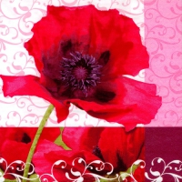20 Servietten 33x33 cm - Poppy Flower 