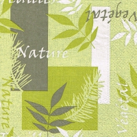 20 Servietten 33x33 cm - Balance 