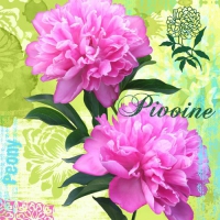 20 Servietten 33x33 cm - Pivoine 