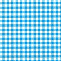 30 Servietten 33x33 cm - Vichy Karo türkis