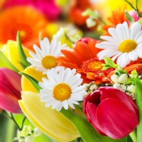 20 Servietten 33x33 cm - Flower Power 