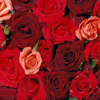 20 Servietten 33x33 cm - Emotion 