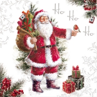20 Servietten 33x33 cm - HoHoHo 