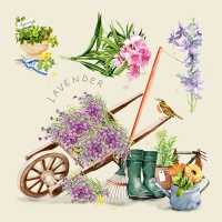 20 Servietten 33x33 cm - Enjoy your Garden 