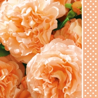 20 Servietten 33x33 cm - Auroral 