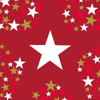 20 Servietten 33x33 cm - Starlight 