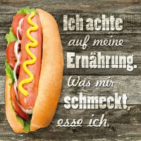 20 Servietten 33x33 cm - Burgerregel 