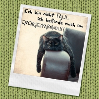 20 Servietten 33x33 cm - Ich bin nicht faul 