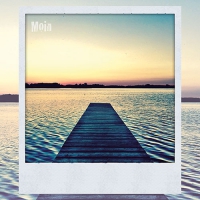 20 Servietten 33x33 cm - Moin 