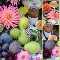 20 Servietten 33x33 cm - Autumn Collage 