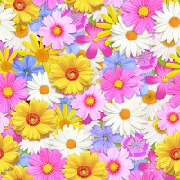 20 Servietten 33x33 cm - Daisies Mix 