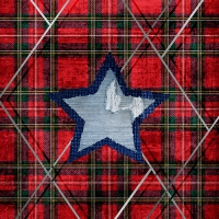 20 Servietten 33x33 cm - Lola 