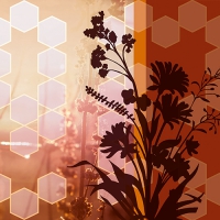 20 Servietten 33x33 cm - Nature desire 