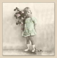 Servietten 33x33 cm - ROSE BUNCH