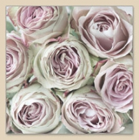 Servietten 33x33 cm - ROSES ALL OVER