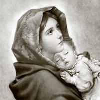 Servietten 33x33 cm - Madonna