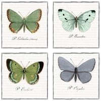 Servietten 33x33 cm - Big Butterflies