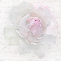 Servietten 33x33 cm - Pink Rose Letter