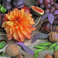 Servietten 33x33 cm - Beatrix violett