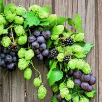 Servietten 33x33 cm - Benedikt