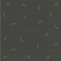 Servietten 33x33 cm - Pavlo