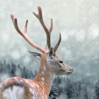 Servietten 33x33 cm - Kimo