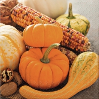 Servietten 33x33 cm - Zucca orange