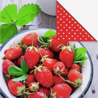 Servietten 33x33 cm - Farla