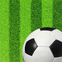 Servietten 33x33 cm - Mark