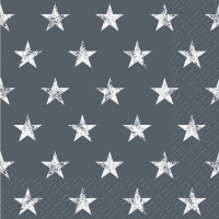 Servietten 33x33 cm - Seren