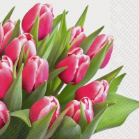 Servietten 33x33 cm - Mirjam