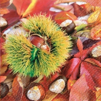 Servietten 33x33 cm - Kassan