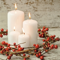 Servietten 25x25 cm - Yasna rot 