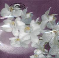 Servietten 24x24 cm - Orchidea Bianca lilac Servietten 24x24 cm - Orchidea Bianca lilac