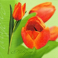 Servietten 24x24 cm - Tulipe Servietten 24x24 cm - Tulipe