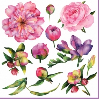 Servietten 33x33 cm - Pivoine et Freesia