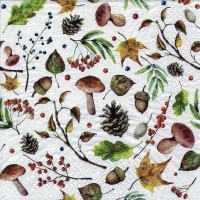 Servietten 33x33 cm - Autumn Forest white